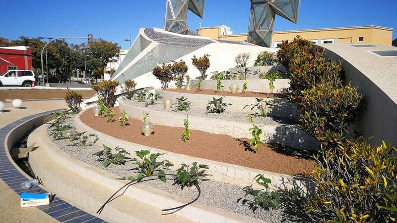 Plantación reciente en la fuente de Daora, en el casco de la ciudad (Foto TA)